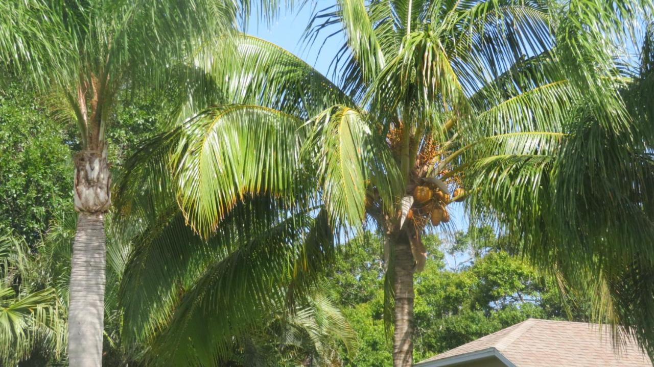 Luxury 3-Bedroom Home Near Beaches With Pool Vero Beach Esterno foto